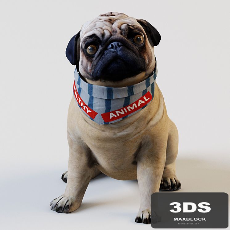 PUG