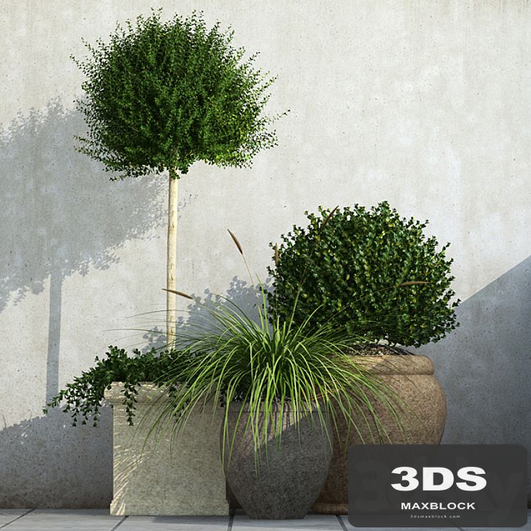 Outdoor Planters