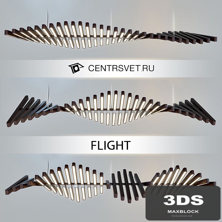 CENTRSVET_FLIGHT