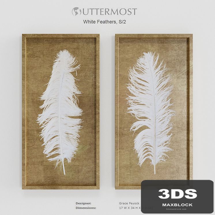 Uttermost White Feathers Gold Shadow Box S2