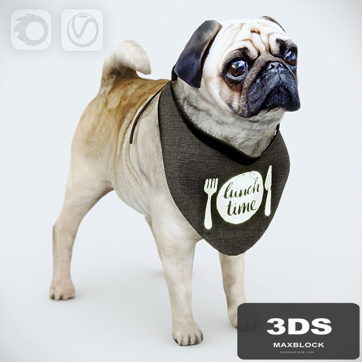 Cute Pug (vray + corona)