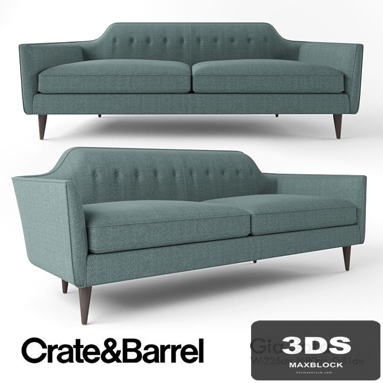 Crate and Barrel Gia sofa