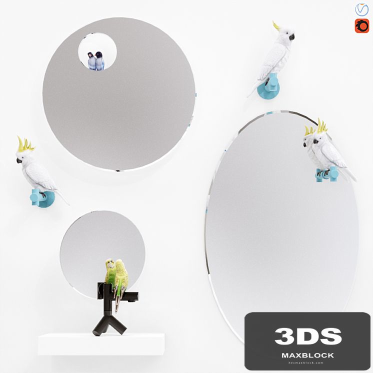 A set of mirrors "The Parrot Party"
