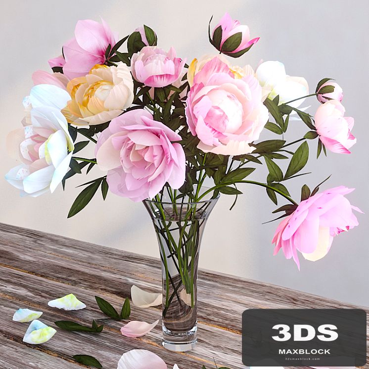 Peonies