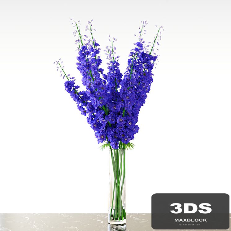 Delphinium \ Blue