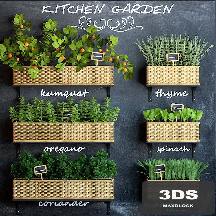 Kitchen garden 3