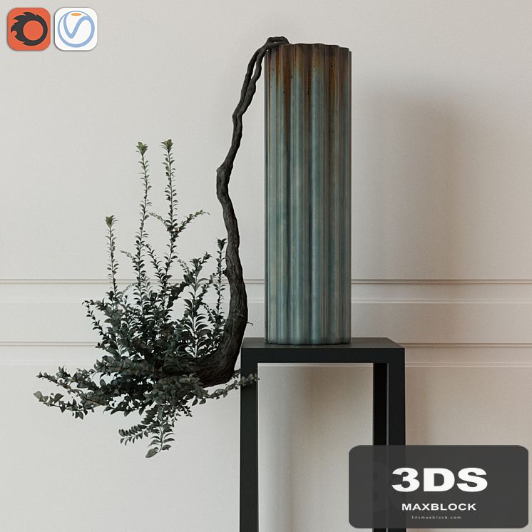 Plant in a vase