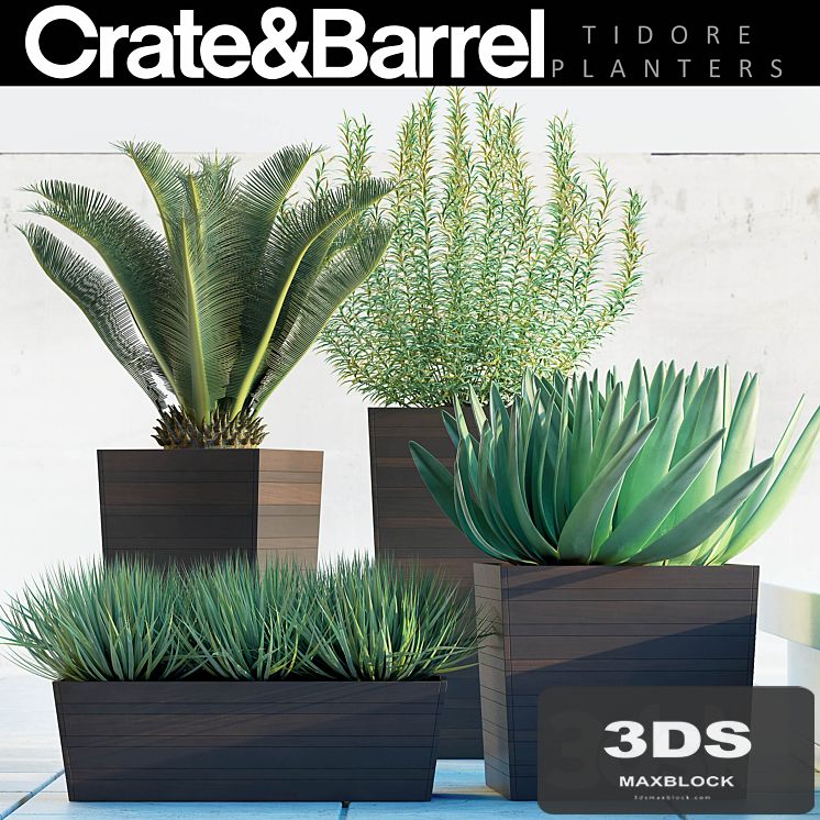PLANTS 82
