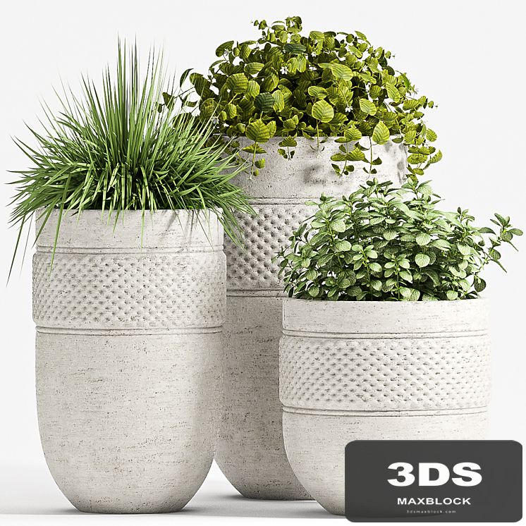 PLANT SET - 67