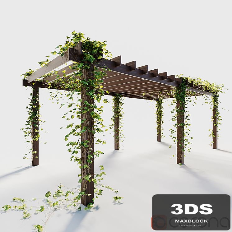 Pergola with ivy