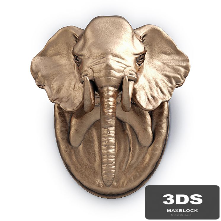 Elephant Head