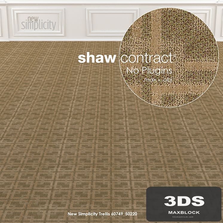 Shaw Carpet New Simplicity No: 1