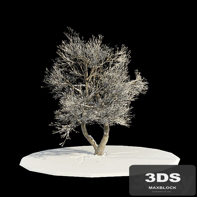 tree-snow v3 / tree in snow v3
