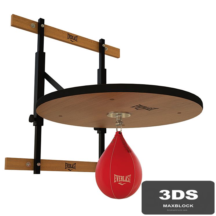 Punching bag and fasteners Everlast