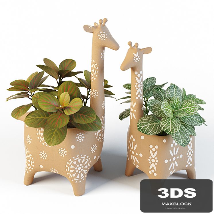 Giraffe Pots and Fittonia