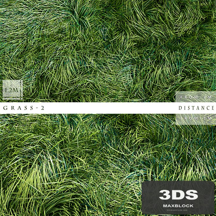GRASS 2