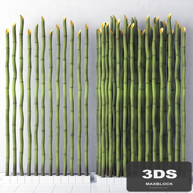 Bamboo decor