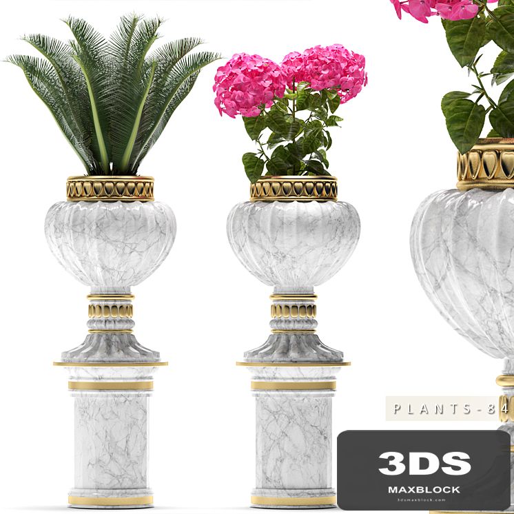 PLANTS 84