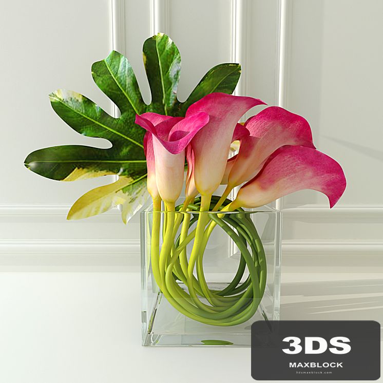 Calla lilies