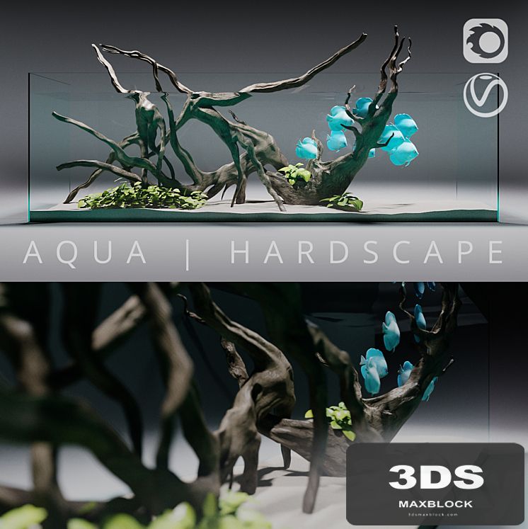 Aquarium | Hardscape