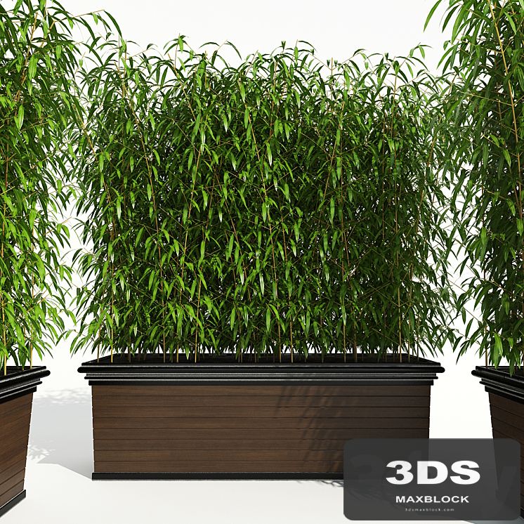 Decorative Plant 2