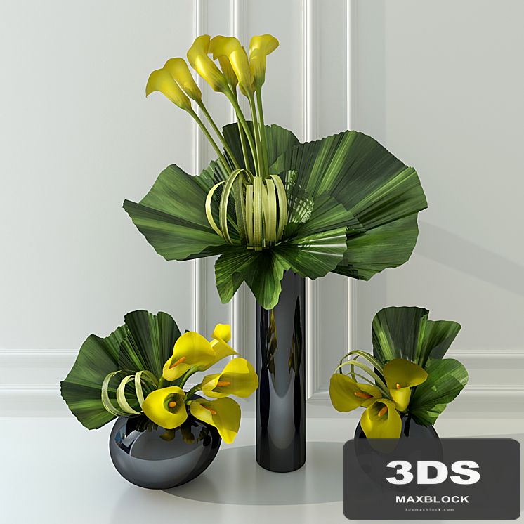 Calla lily yellow