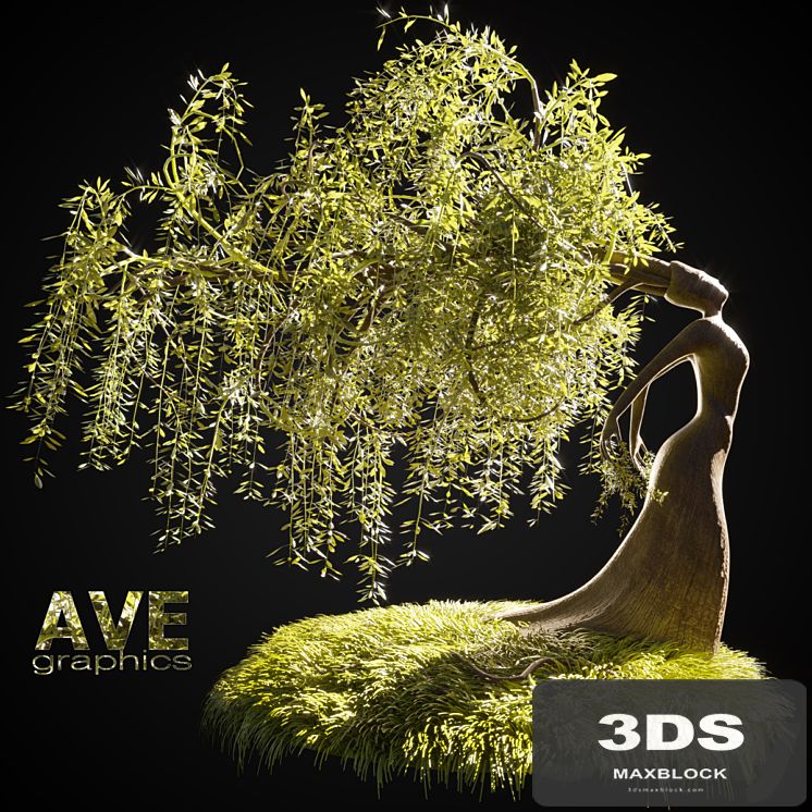 AVE Last light