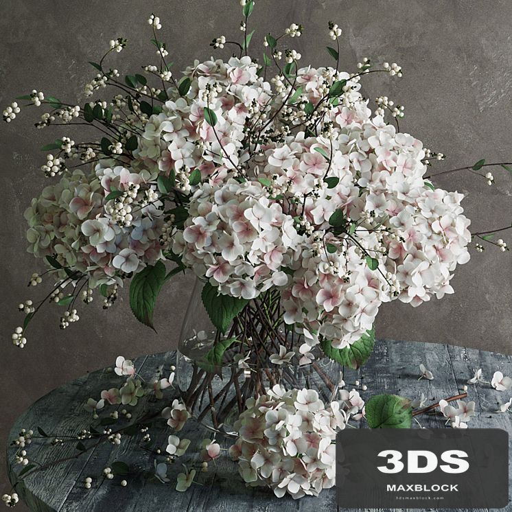 Hydrangea
