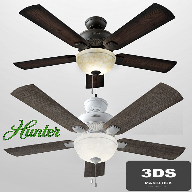 Hunter Matheston - 52 "Ceiling Fan 54091/54092