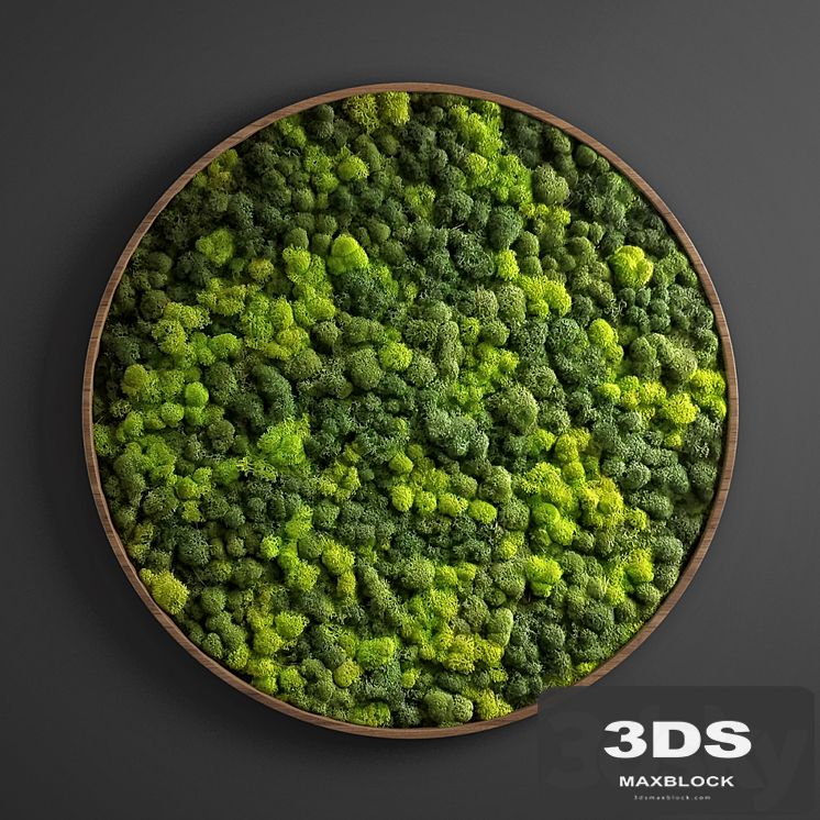 panel moss circle