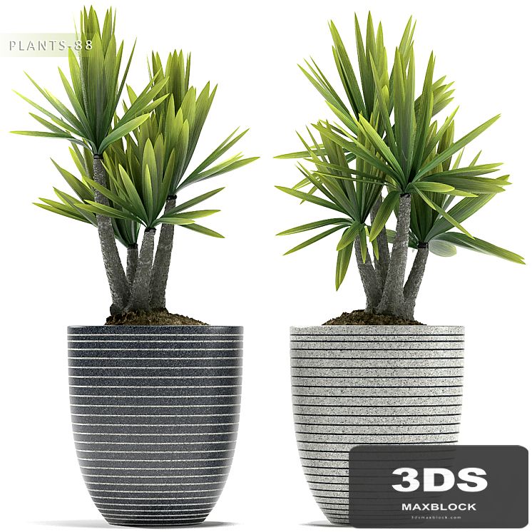 PLANTS 88