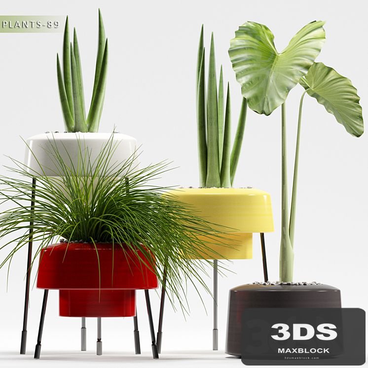 PLANTS 89