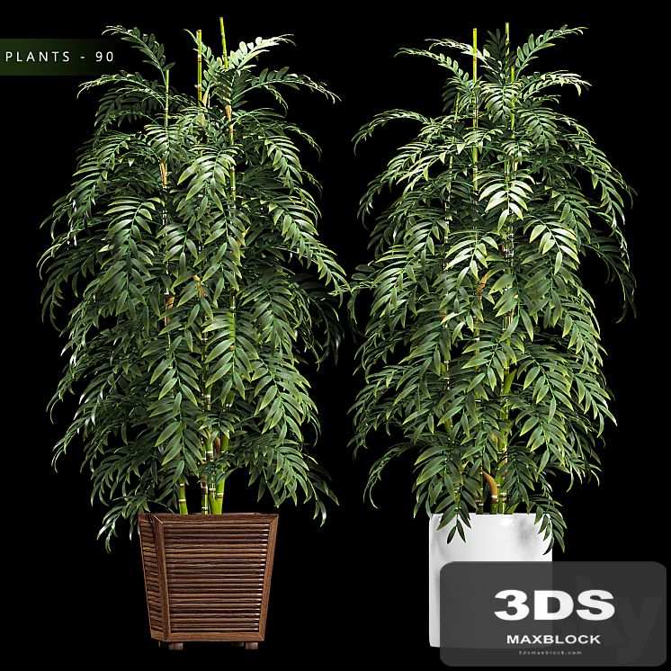 PLANTS 90