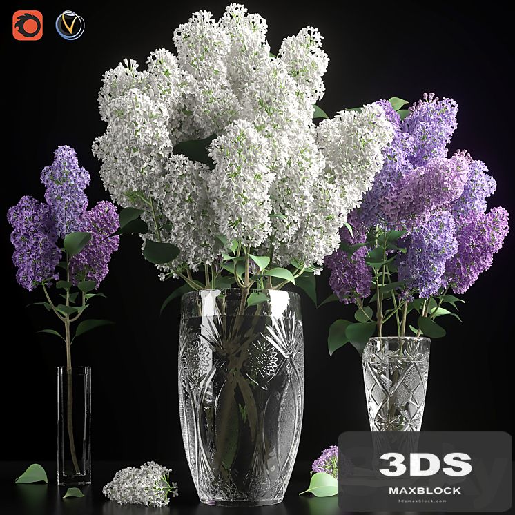 LILAC 3 in 1 / LILAC