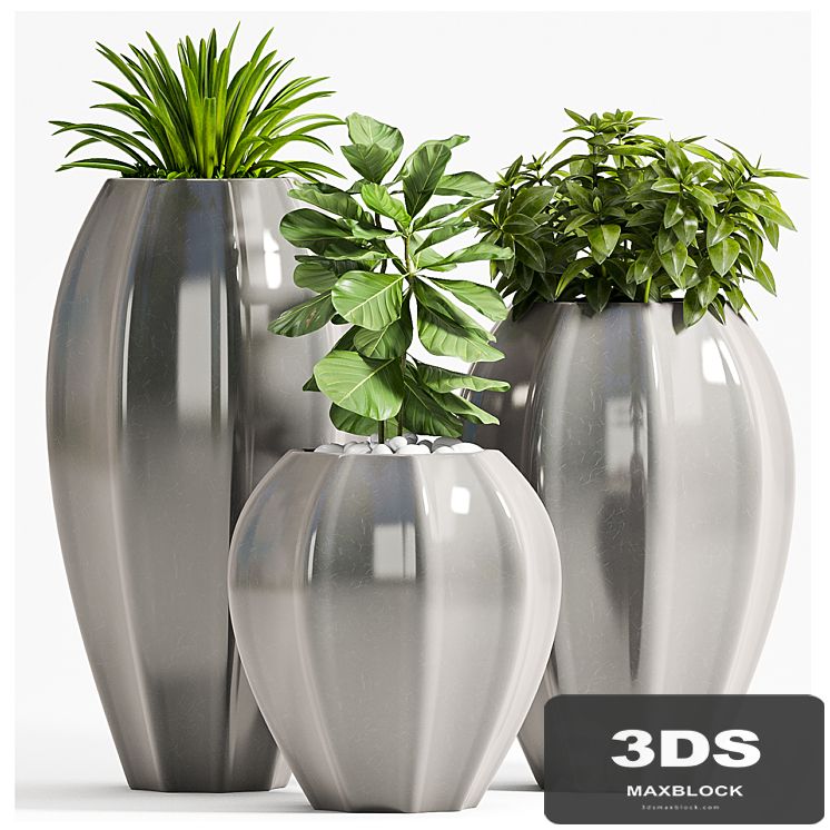 PLANT SET - 70