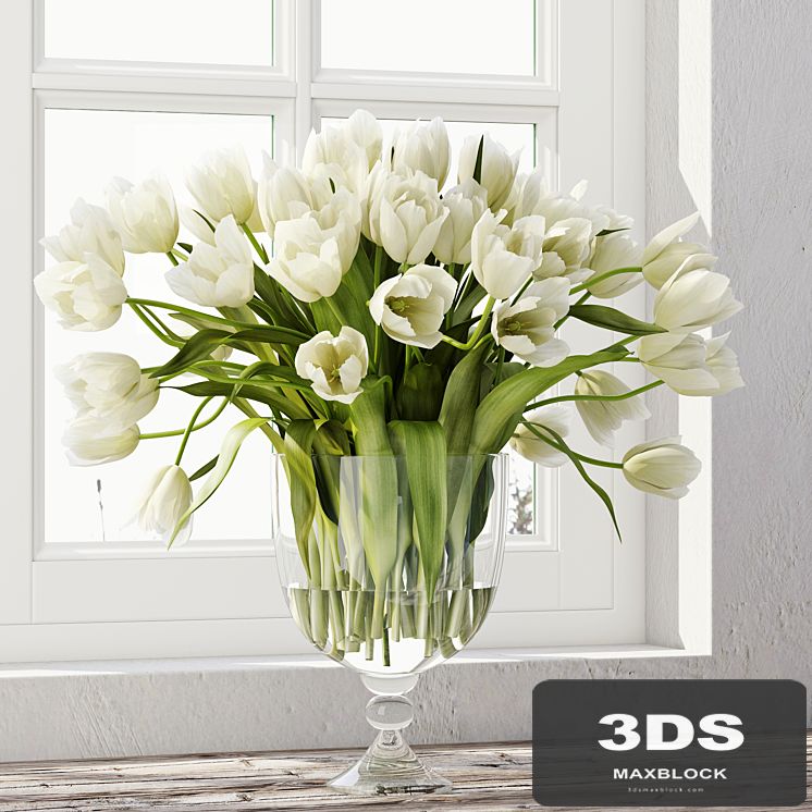 Tulips 3
