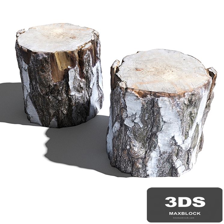 Cutted trunk