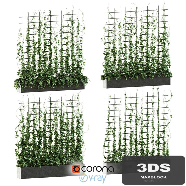 Ivy on the grid