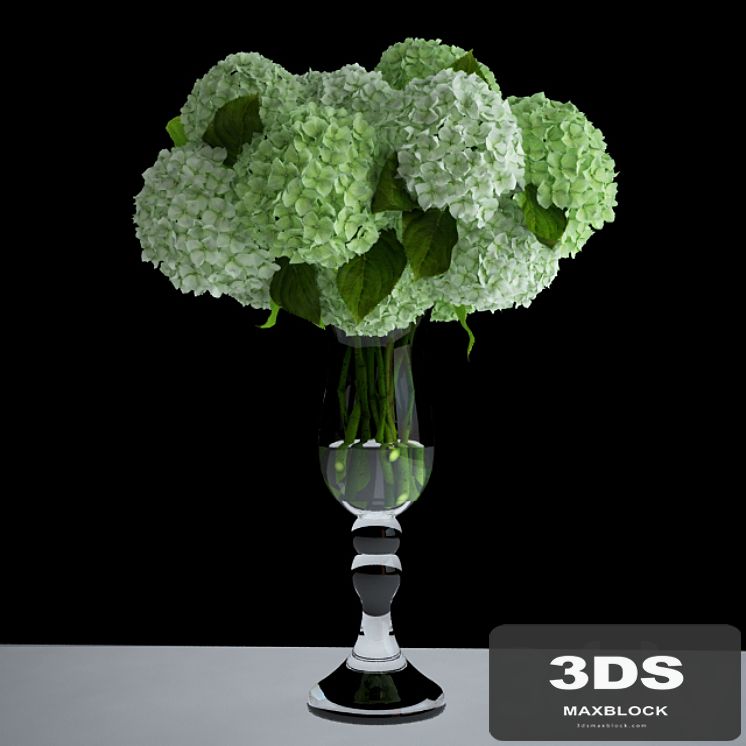 White hydrangea