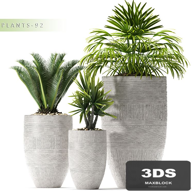 PLANTS 92