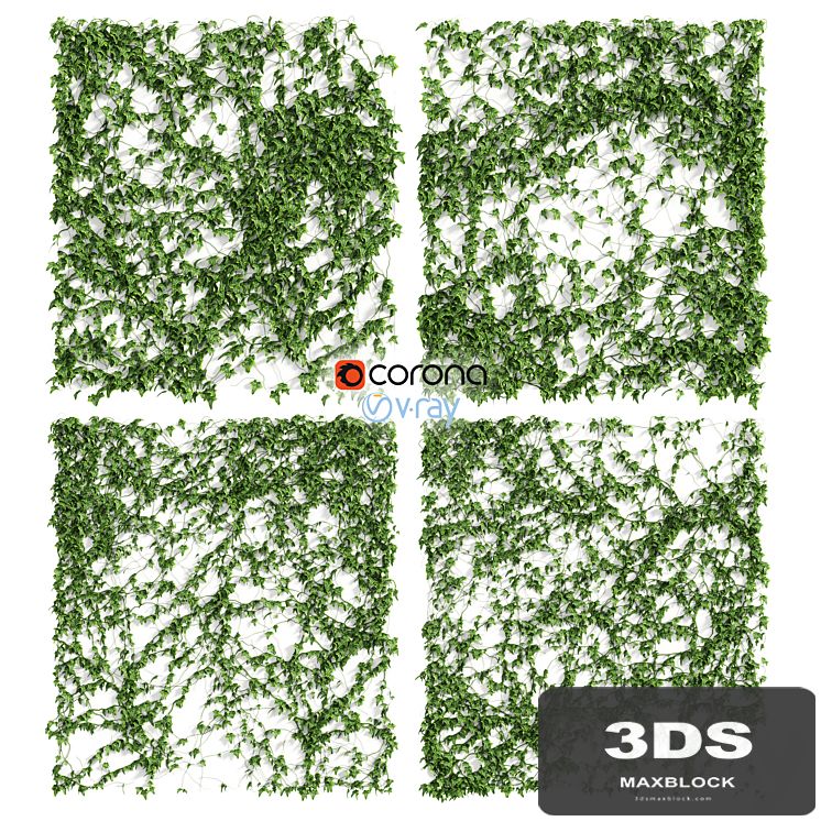 Ivy Wall 4 models