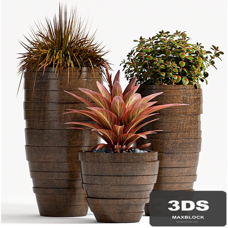 PLANT SET - 72