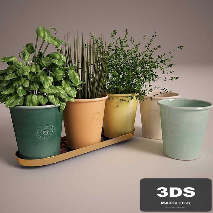 Svenskt Tenn herb pots