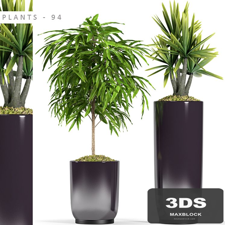 PLANTS 94