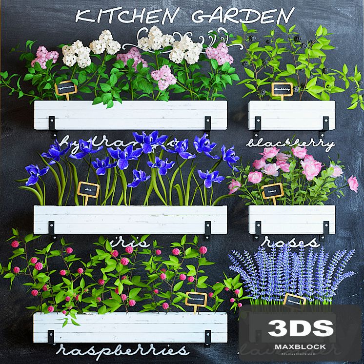 Kitchen garden 5