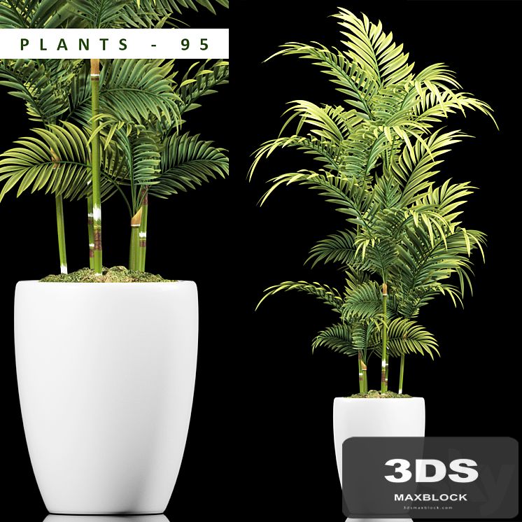 PLANTS 95