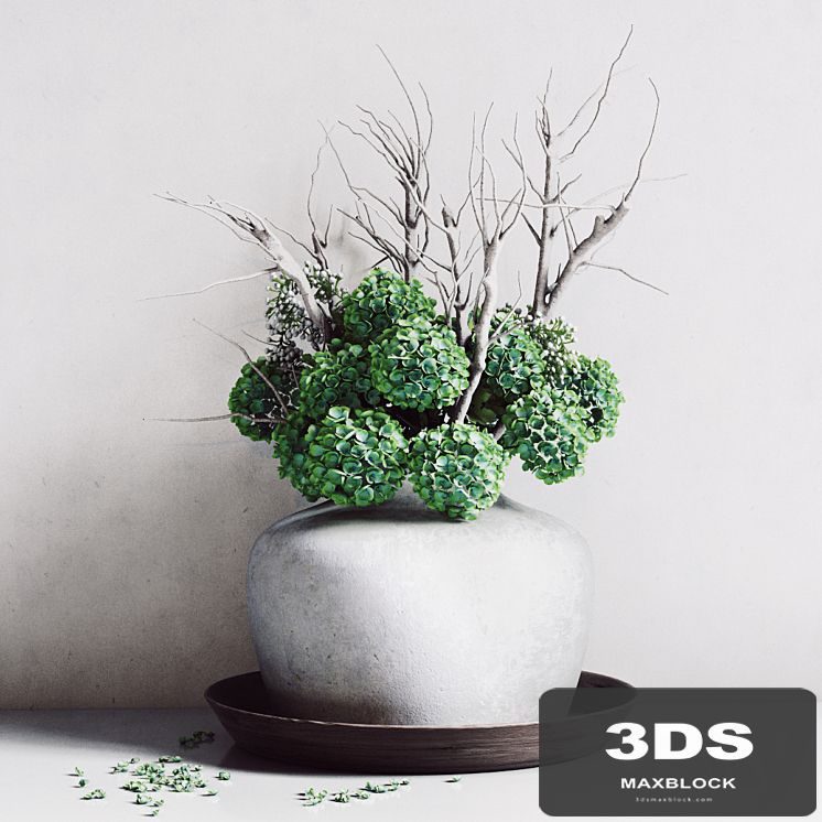 Hydrangea Vase
