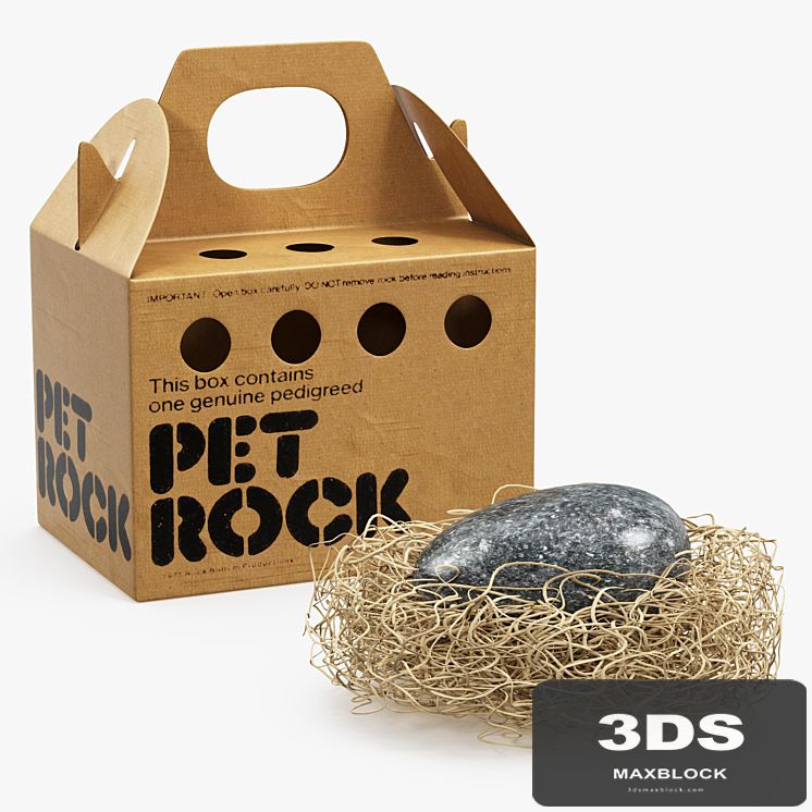 Pet rock